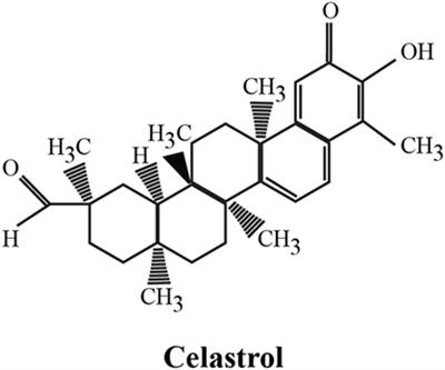 Celastrol: A Spectrum of Treatment Opportunities in Chronic Diseases